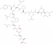 pp60 c-src (521-533)