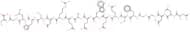 Presenilin-1 (331-349)-Cys (human, mouse) trifluoroacetate salt