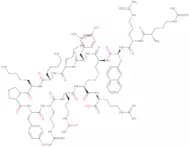 Polyphemusin II-Derived Peptide