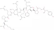 (Pro3)-Dynorphin A (1-11) amide trifluoroacetate salt