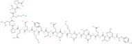 pTH-Related Protein (67-86) amide (human, bovine, dog, mouse, ovine, rat) trifluoroacetate salt