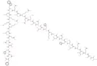 pTH (2-34) (human) acetate salt