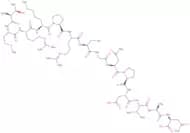 Peptide 74