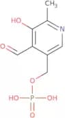 Pyridoxal-5'-phosphate hydrate