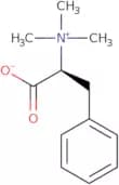 Phenylalanine betaine