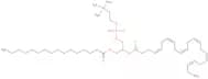 Palmitoyldocosahexaenoyl phosphatidylcholine
