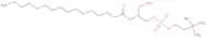 2-Palmitoyl-sn-glycero-3-phosphocholine