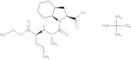 Perindopril t-butylamine salt