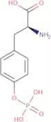 O-Phospho-L-tyrosine