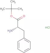 (S)-3-Phenylalanine t-butyl ester HCl