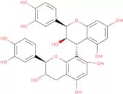 Procyanidin B1