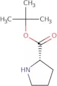 L-Proline tert-butyl ester