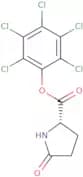 L-Pyroglutamic acid pentachlorophenyl ester