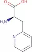 3-(2-Pyridyl)-D-alanine