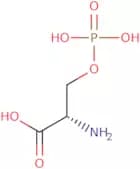 O-Phospho-L-serine