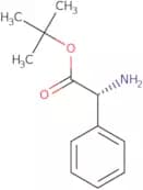 D-Phenylglycine tert-butyl ester hydrochloride