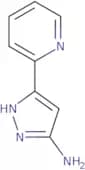 5-Pyridin-2-yl-2H-pyrazol-3-ylamine
