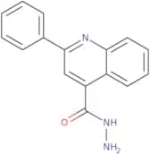 2-Phenylquinoline-4-carbohydrazide