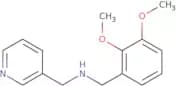 (2,3-Dimethoxy-benzyl)-pyridin-3-ylmethyl-amine