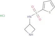 N-(Azetidin-3-yl)thiophene-2-sulfonamide hydrochloride