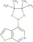 4-(Tetramethyl-1,3,2-dioxaborolan-2-yl)thieno[2,3-c]pyridine
