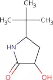 5-tert-Butyl-3-hydroxypyrrolidin-2-one