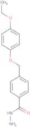 4-(4-Ethoxyphenoxymethyl)benzohydrazide