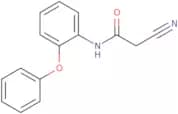 2-Cyano-N-(2-phenoxyphenyl)acetamide