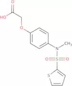 2-[4-(N-Methylthiophene-2-sulfonamido)phenoxy]acetic acid