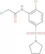 2-Chloro-N-[2-chloro-5-(pyrrolidine-1-sulfonyl)phenyl]acetamide