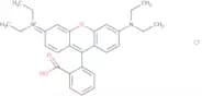 Rhodamine B