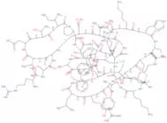 Stichodactyla helianthus Neurotoxin (ShK) trifluoroacetate salt