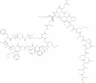 Somatostatin-28