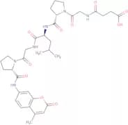 Suc-Gly-Pro-Leu-Gly-Pro-AMC