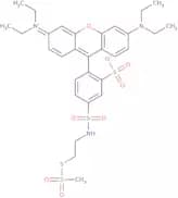 Sulfo rhodamine methanethiosulfonate