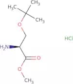 Ser(tBu)-OMe.HCl