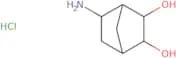 5-Aminobicyclo[2.2.1]heptane-2,3-diol hydrochloride