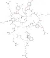 (Tyr5·12,Lys7)-Polyphemusin II