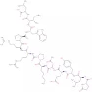(Trp11)-Neurotensin Pyr-Leu-Tyr-Glu-Asn-Lys-Pro-Arg-Arg-Pro-Trp-Ile-Leu-OH