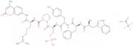 H-Trp-Phe-Tyr-Ser(PO3H2)-Pro-Arg-AMC trifluoroacetate salt