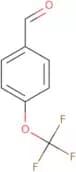 4-(Trifluoromethoxy)benzaldehyde