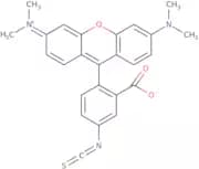 Tetramethylrhodamine-5-isothiocyanate
