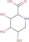 (2S,3R,4R,5S)-3,4,5-trihydroxypiperidine-2-carboxylic acid