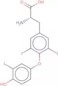 3,3',5-Triiodo-L-thyronine