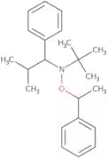 N-tert-Butyl-N-(2-methyl-1-phenylpropyl)-O-(1-phenylethyl)hydroxylamine