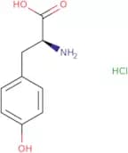 L-Tyrosine hydrochloride