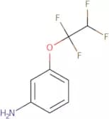 3-(1,1,2,2-Tetrafluoroethoxy)aniline