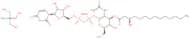 UDP-3-O[R-3-hydroxymyristoyl]-N-acetylglucosamine tris, 90%