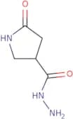 5-Oxopyrrolidine-3-carbohydrazide
