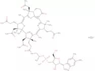 Vitamin B12 - cyanocobalamin 1%,carrier:Mannitol